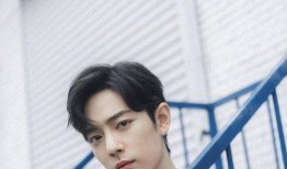 真实爆料肖战视频大全,揭秘明星幕后生活