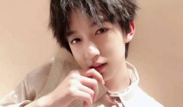 贺峻霖爆料视频,揭秘娱乐圈不为人知的幕后真相